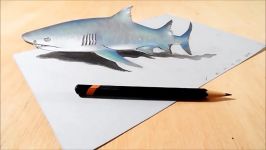 GREY SHARK ILLUSION  How to Draw 3D Shark  Trick Art by Vamos