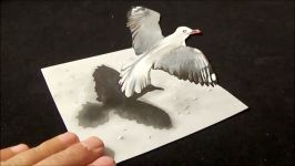 FLYING BIRD ILLUSION  How to Draw a Seagull  3D Trick Art on Paper