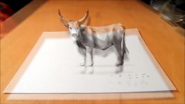 GREY CATTLE ILLUSION  How to Draw Grey Cattle  3D Trick Art