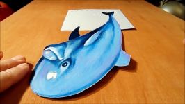 HOW TO DRAW 3D DOLPHIN  Drawing a Dolphin Illusion  3D Trick Art