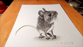 CUTE MOUSE ILLUSION  How to Draw 3D Mouse  Trick Art on Paper