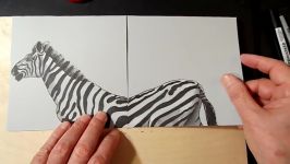 Drawing Awesome Zebra Illusion  3D Trick Art  VamosART