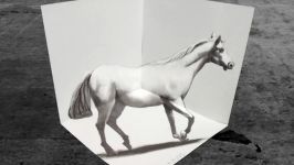 How to Draw 3D White Horse  Drawing an Amazing Horse  VamosART