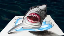 Awesome White Shark  Drawing 3D Shark Illusion  VamosART