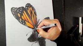 Drawing Awesome 3D  Butterfly Illusion on Paper  Vamos