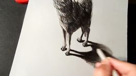Drawing 3D Wolf  Anamorphic Illusion on Paper  Vamos