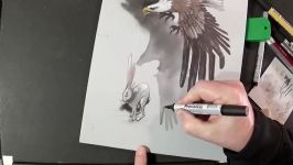 Hunting Eagle  Drawing 3D Eagle Illusion  Vamos