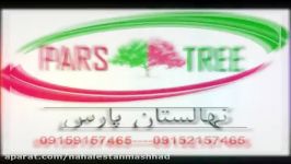 فروش درخت میوه  نهالستان پارس 09152157465