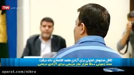 وثیقه ۵۰۰ هزار متری یک محکوم امنیتی برای آزادی یک مفسد اقتصادی