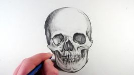 How to Draw a Realistic Skull Narrated Step by Step