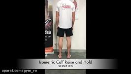 Single Leg Calf Raises