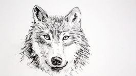 How to Draw a Realistic Wolf Narrated