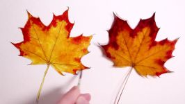 How to Draw a Autumn Leaf Realism Challenge #1