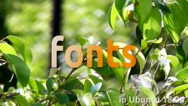 How to add fonts in Ubuntu 18.04