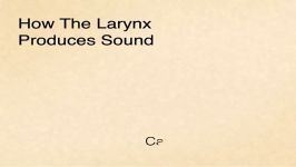 How the Larynx Produces Sound