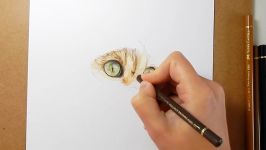 How to draw realistic cat fur with colored pencils  Emmy Kalia