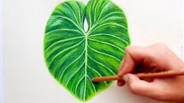 Timelapse  Drawing a Tropical Leaf with Faber Castell soft Pastels  Emmy Kalia