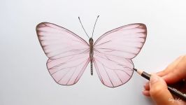 Drawing a light pink Butterfly with colored pencils and copic markers