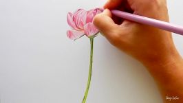 Timelapse  Drawing a Pink Peony RoseFlower with colored pencils  Emmy Kalia