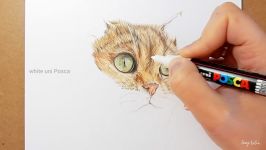 How to draw color realistic cat fur and nose with colored pencils