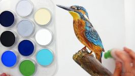 Drawing Coloring a Bird kingfisher with PanPastel and Colored pencils