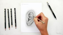 Ear Study  Drawing a Realistic Ear with Graphite pencils