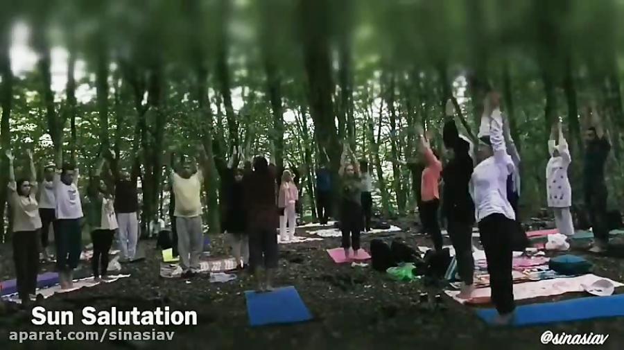 تمرین گروهی یوگا در جنگل های مازندران توسط سینا سیاوشان  تابستان ۹۶