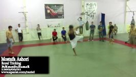 Mostafa Ashori June 212014 Homework Royal Tricking