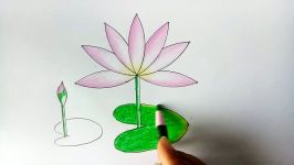 How to draw water lily step by step very easy