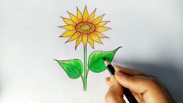 How to draw a sunflower step by step very easy