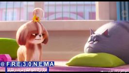 زندگی پنهان حیوانات خانگی2 THE SECRET LIFE OF PETS 2