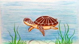 How to draw scenery of turtle under water step by step