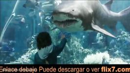 Aquaman ➋⓪➊➑ P E L I C U L A Completa OriginalGratis en Español Latino HD