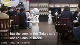 روبات OriHime روبوخبر دانلود www.cafebazaar.irappir.pitok.robokhabar