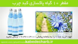 پاکسازی کبد چرب عرقیات گیاهی