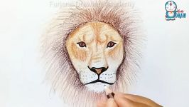 How to draw Lion face step by step