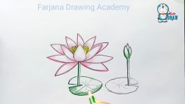 How to draw water lily step by step