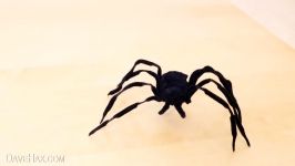 Make a Creepy Halloween Spider  Prank