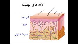 درمان زخم قسمت اول آشنایی پوست انواع زخم