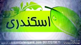 درمان بیماری پف زیر چشم طب سنتی بنیانگذار طب جامع در ایرانحکیم اسکندری