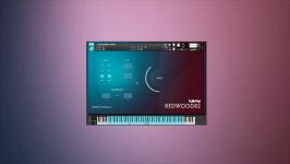 Karanyi SYNTHS DX  Sound demos of an 80s inspired instrument collection