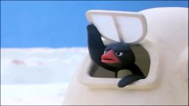 Pingu And His Friends Play Too Loudly  Pingu Official Channel