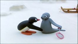 Pingu is not allowed to join in game  Pingu Official Channel