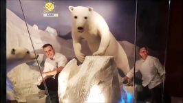 کیک آرایی  آموزش انواع تزیین کیک خوراکی زمستانی  کیک مدل خرس قطبی