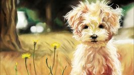 파스텔 손그림 Pastel Painting  강아지 Puppy