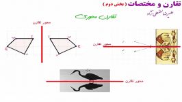 تقارن  بخش دوم  ریاضی ششم  علیرضا لطفعلی نژاد