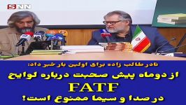 نادر طالب زاده برای اولین بار خبر داد دوماه پیش صحبت درباره لوایح FATF در ص