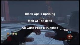 black ops 2 all guns pack a punched Mob of the dead