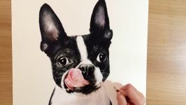 Speed Drawing Boston Terrier Drawing Hands