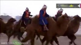 جشنواره سالانه شتر در استان «مغولستان داخلی» چین